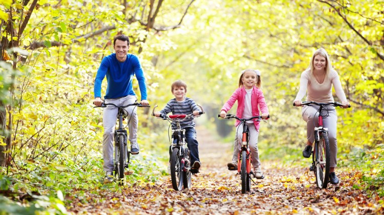 shutterstock_95194951 shutterstock_95194951