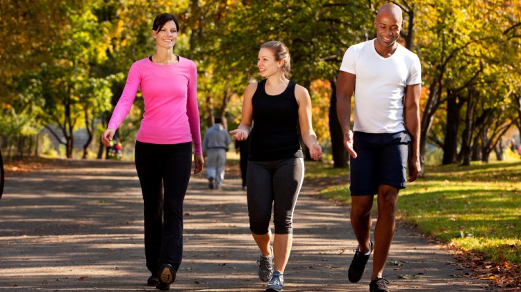 What You Need to Know About Workplace Wellness Programs What You Need to Know About Workplace Wellness Programs