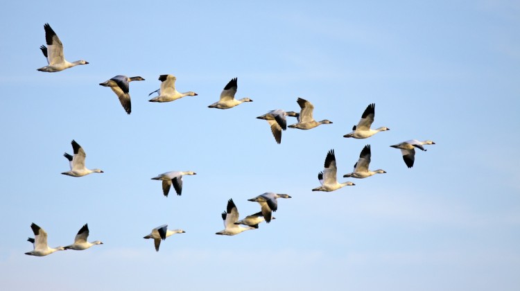 shutterstock_72399934
