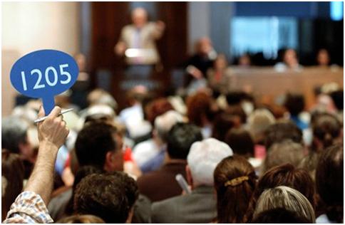 Auction Auction