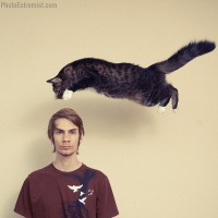 Flying Cat Flying Cat