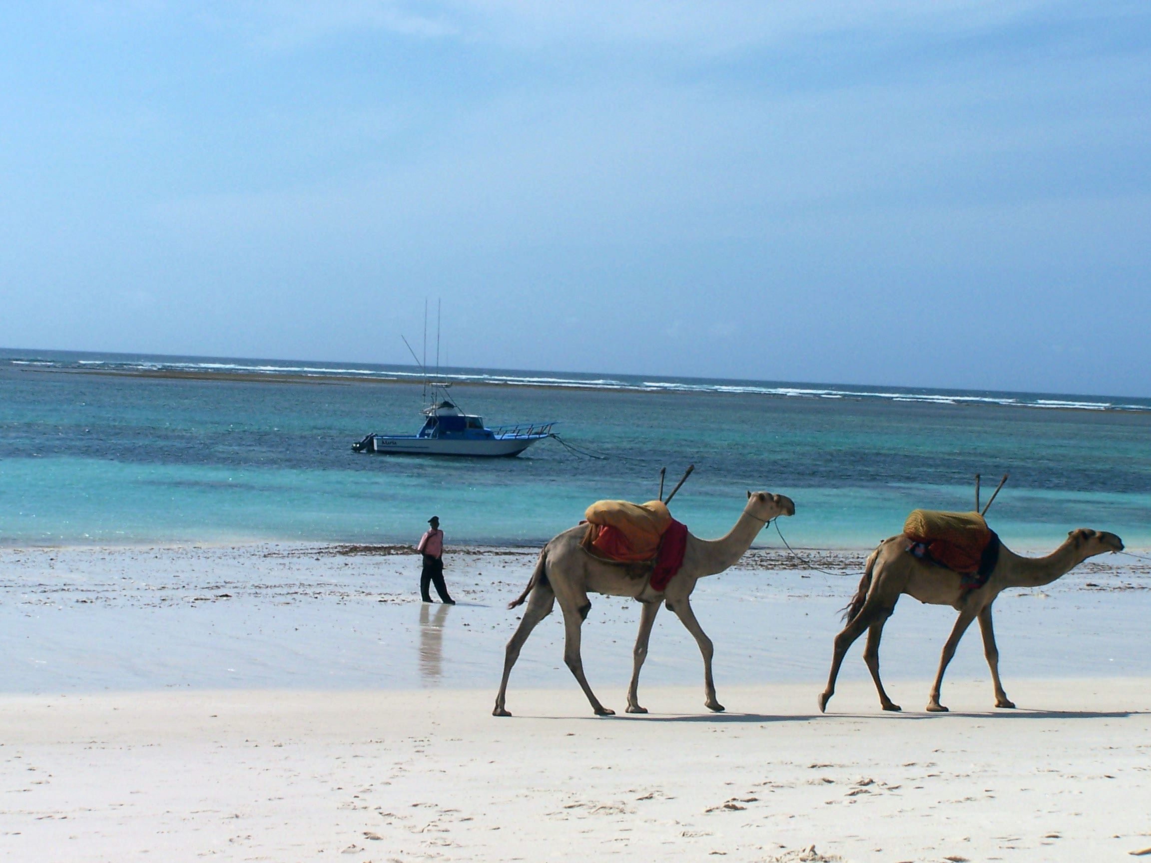 WP 3 Voluntourism,
