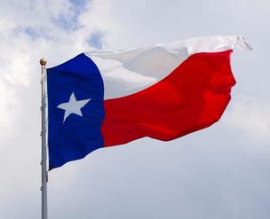 texas flag*304