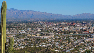 Job Seekers.AZ