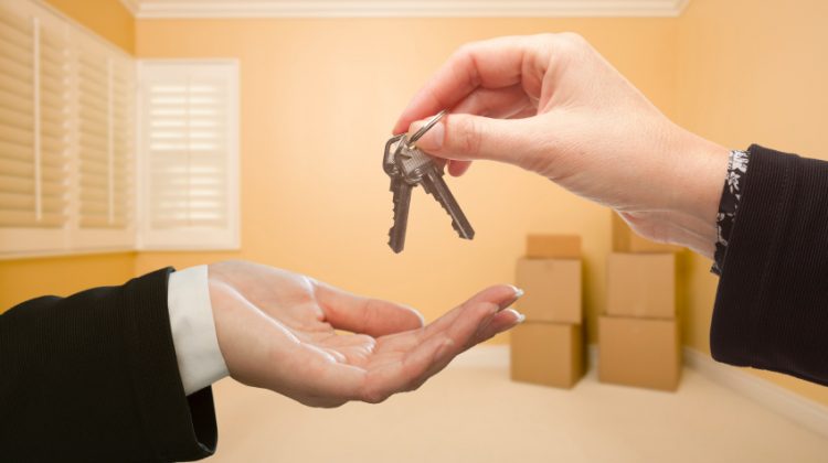 What Landlords Really Look For in a Credit Check