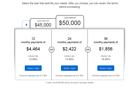 Applying for a business loan from Lending Club: payment options