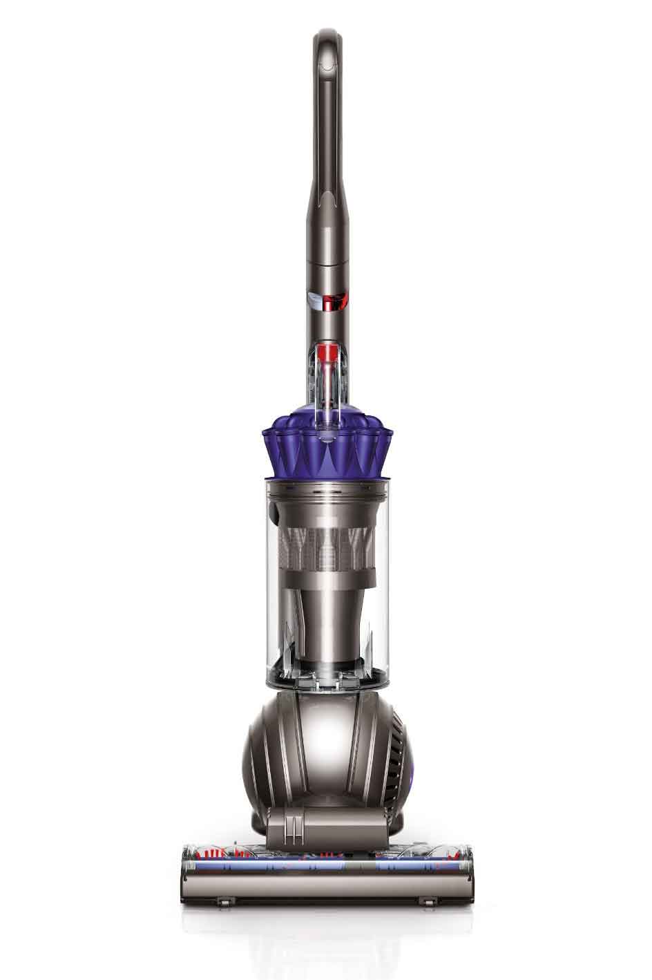 Dyson DC65 Animal