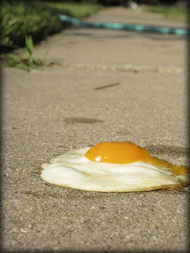 fryegg