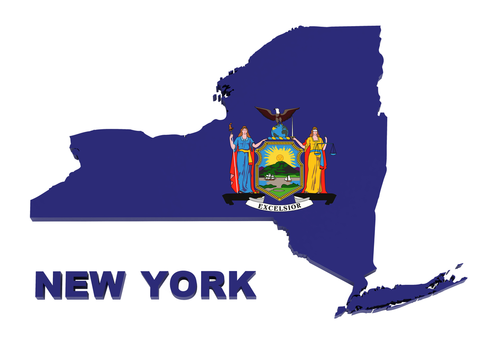 New York State Debt 2025