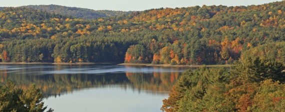 best-cities-young-families-connecticut