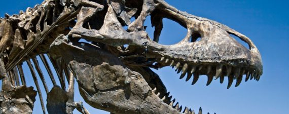 Over-Limit Fees Going the Way of the T. Rex