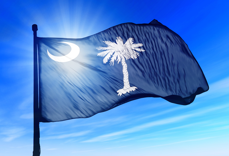 south carolina state flag