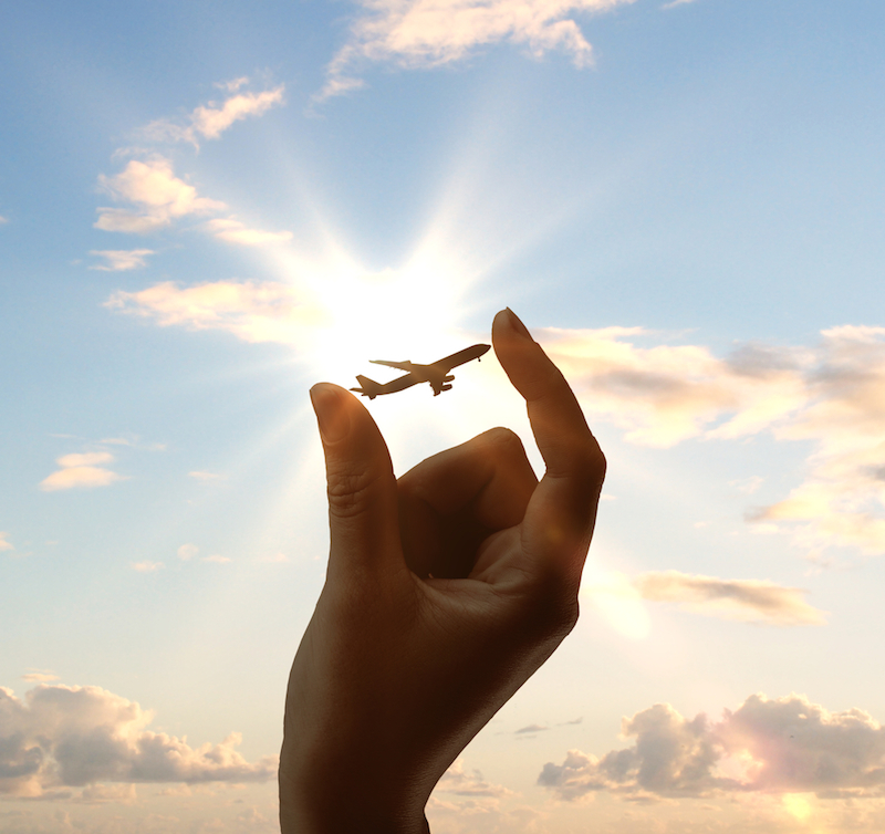 Hand holding plane