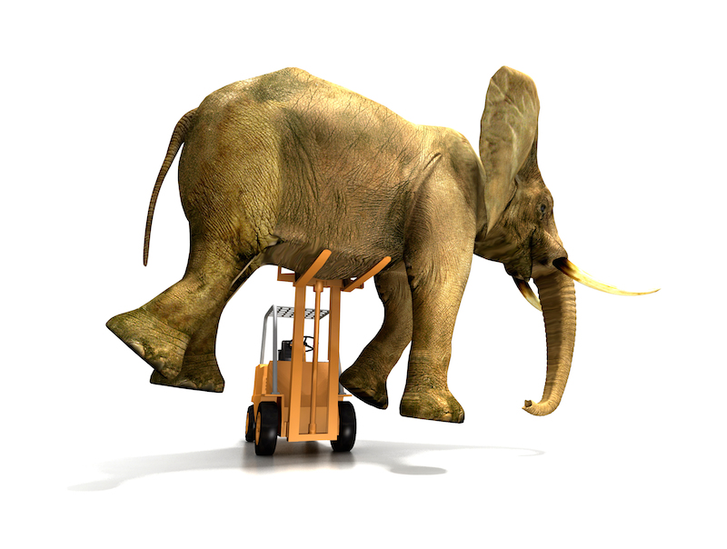 elephant delivery