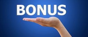 Which travel credit cards provide a points bonus or dividend?