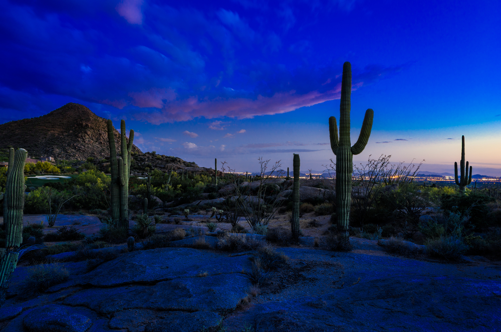Best Cities to Rent in Arizona
