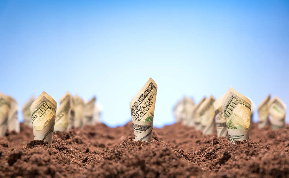 Small business job growth