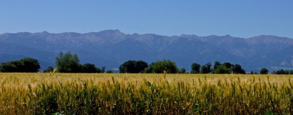 best-places-real-estate-oregon