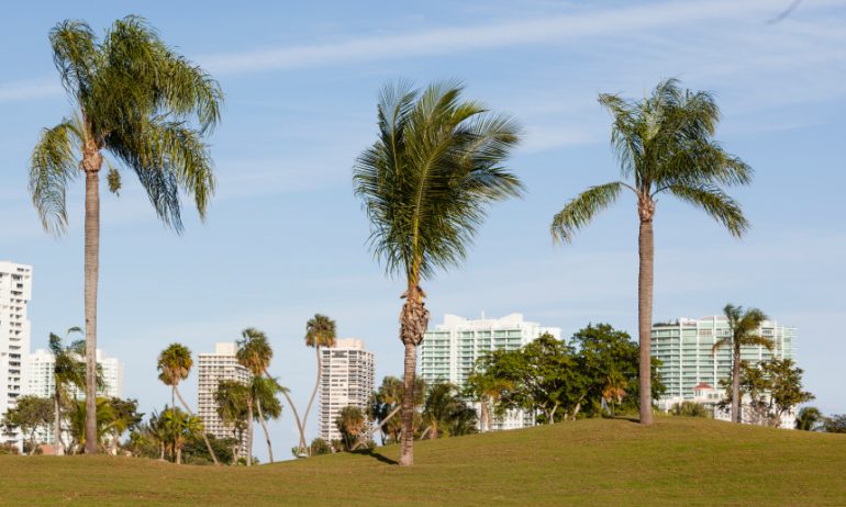 Best Places to Invest in Real Estate in Florida