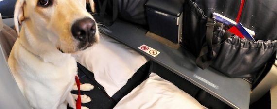 Travel Credit Card That Earns Points or Miles