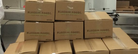 Blossom Foods Finds Financing Success With Traditional Bank