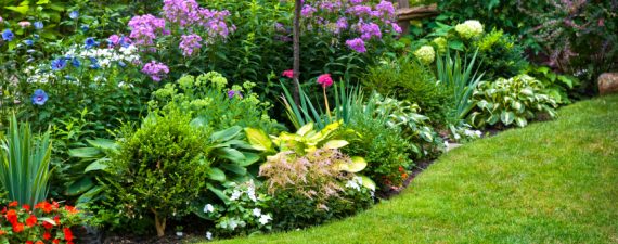 How To Start A Landscaping Business - NerdWallet How to Start a Landscaping Business - How To Start A Landscaping Business - NerdWallet