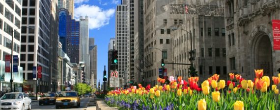 Best Places to Start a Business in Illinois