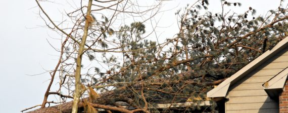 5 Steps to Build an Emergency Fund