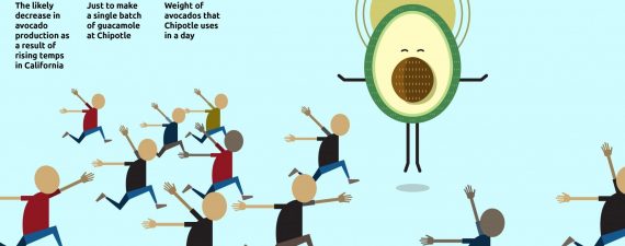holy_avocado_750x420px