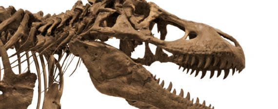Jurassic Money: 5 Financial Dinosaurs to Avoid