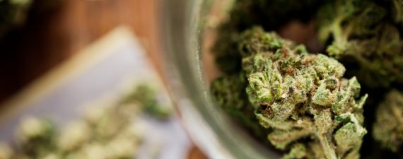 marijuana life insurance rates