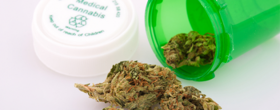 Cost of medical marijuana