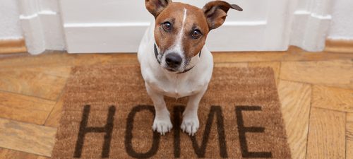 shutterstock_112951720