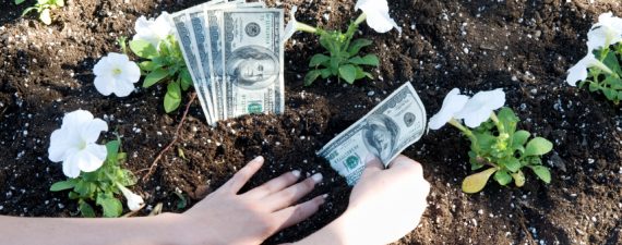 You Can Learn to Grow Money in Your Garden