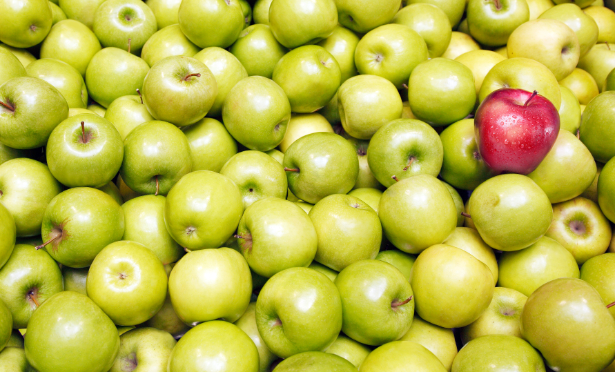 Apples to Apples: Comparing Auto Insurance the Right Way
