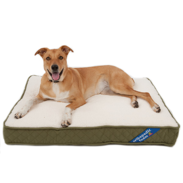petsmart-sale-story.jpg