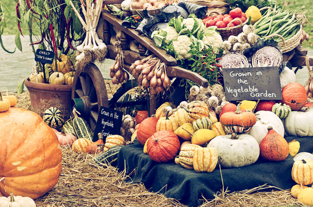 shutterstock_159127997.jpg