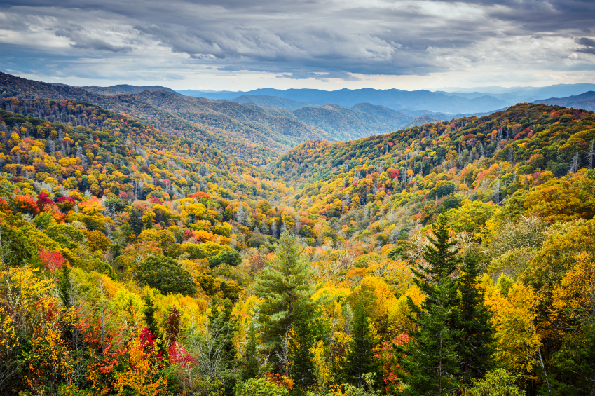 Top Places for First-Time Homebuyers in Tennessee