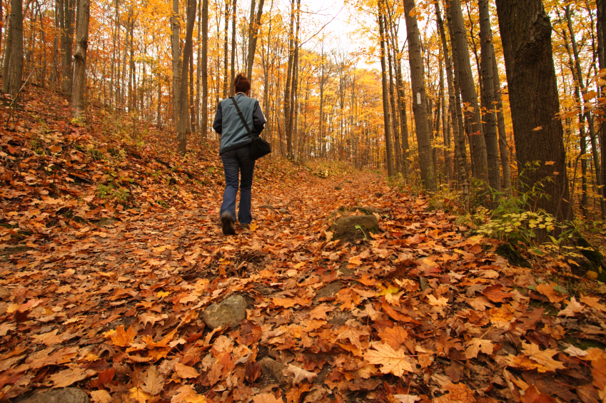 What to Buy (and Skip) in October