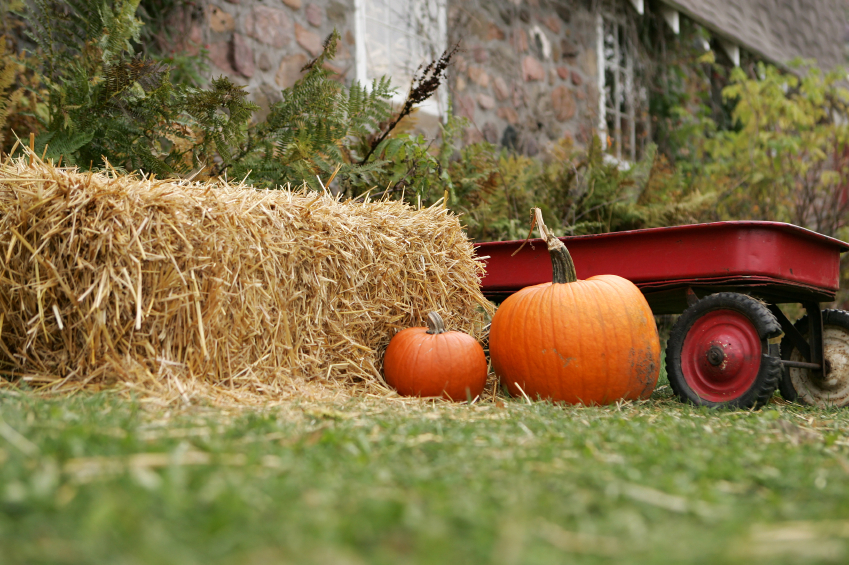 Best Money Moves for October