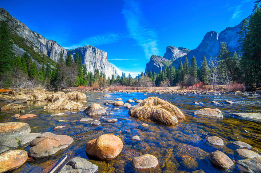 Synchrony Bank Credit Cards >> Best Places for Young Families in Northern California Synchrony Bank Credit Cards >> Best Places for Young Families in Northern California