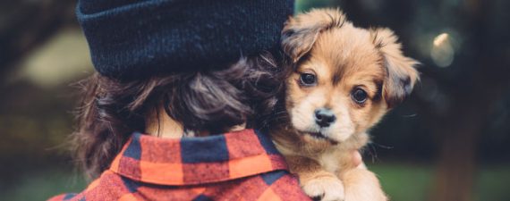 how-owning-a-dog-can-bite-you-in-the-wallet-story