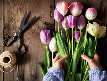 nw-smb-image-tulips@1x