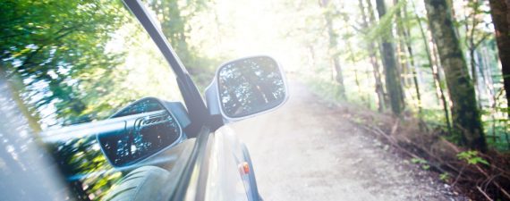 iStock_000073554381_Small