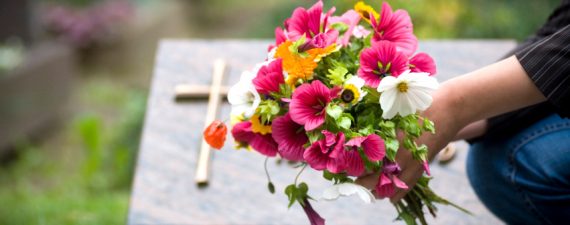 iStock_000004123350_Small