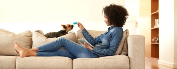 iStock_000077389827_Small