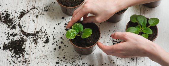 9 Green Gadgets to Celebrate Earth Day