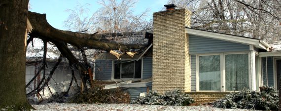 What Could Possibly Go Wrong? Top Home Insurance Claims Revealed