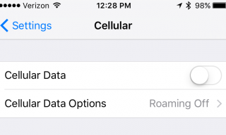 Cellular data on an iPhone