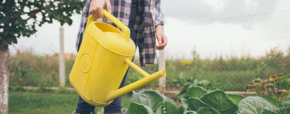 How a Microlender Helped My Business Grow